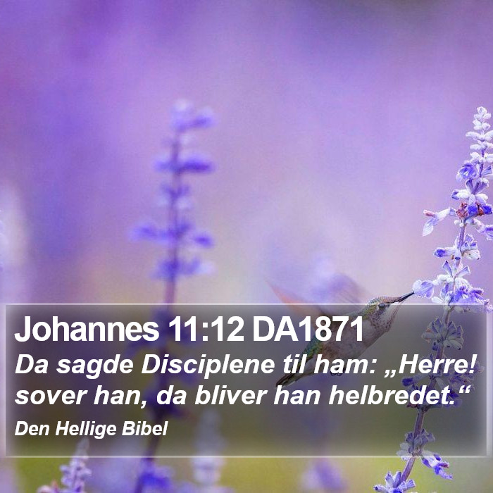 Johannes 11:12 DA1871 Bible Study