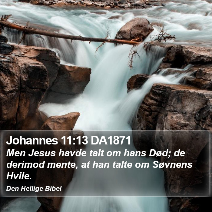 Johannes 11:13 DA1871 Bible Study