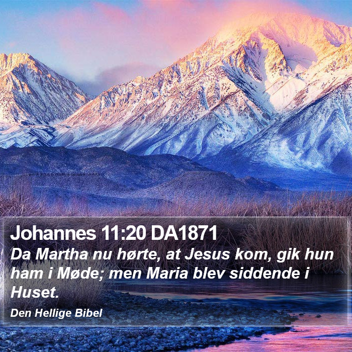 Johannes 11:20 DA1871 Bible Study