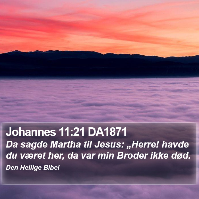 Johannes 11:21 DA1871 Bible Study