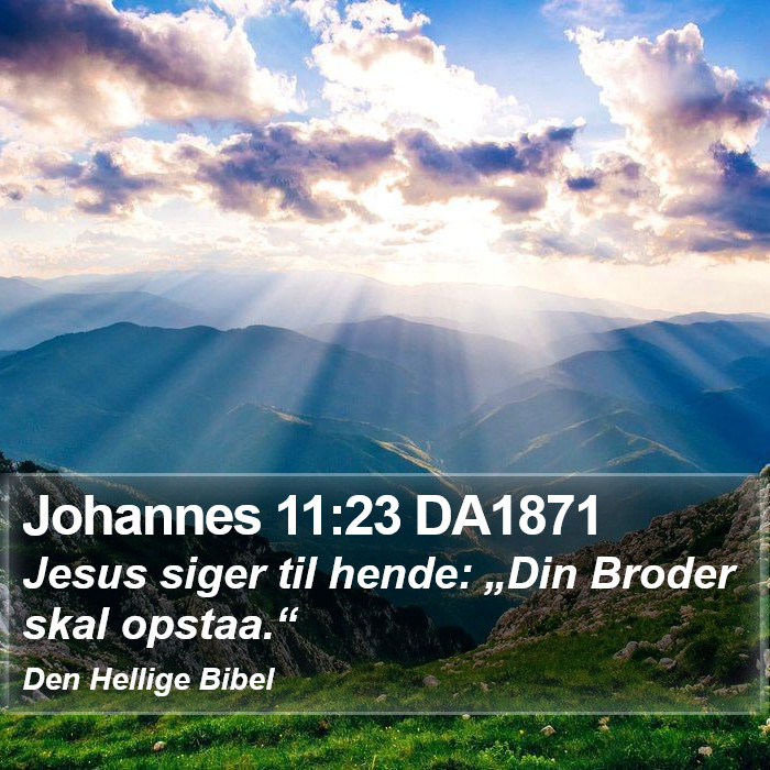 Johannes 11:23 DA1871 Bible Study