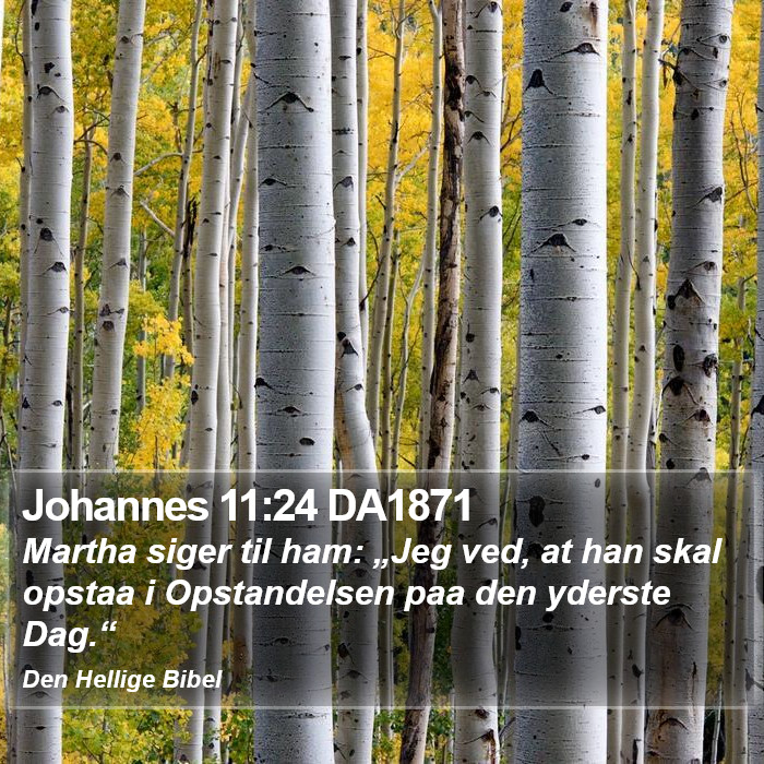 Johannes 11:24 DA1871 Bible Study