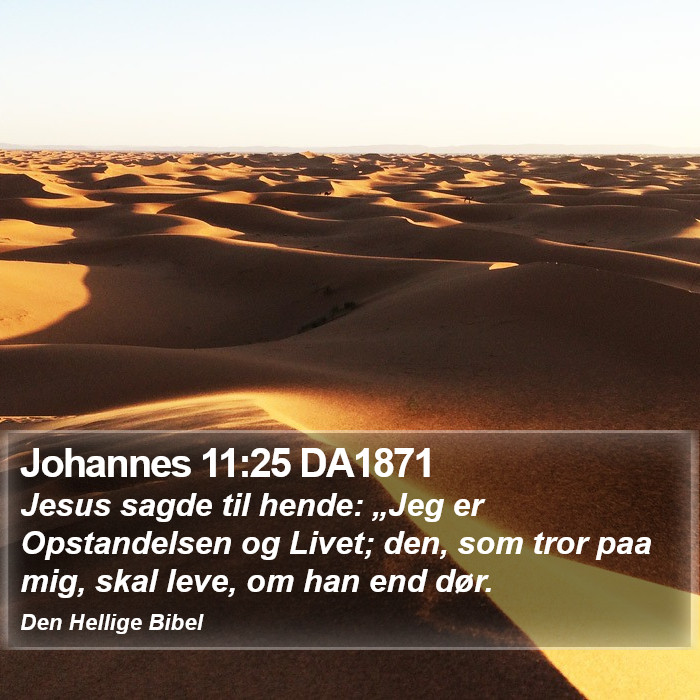 Johannes 11:25 DA1871 Bible Study