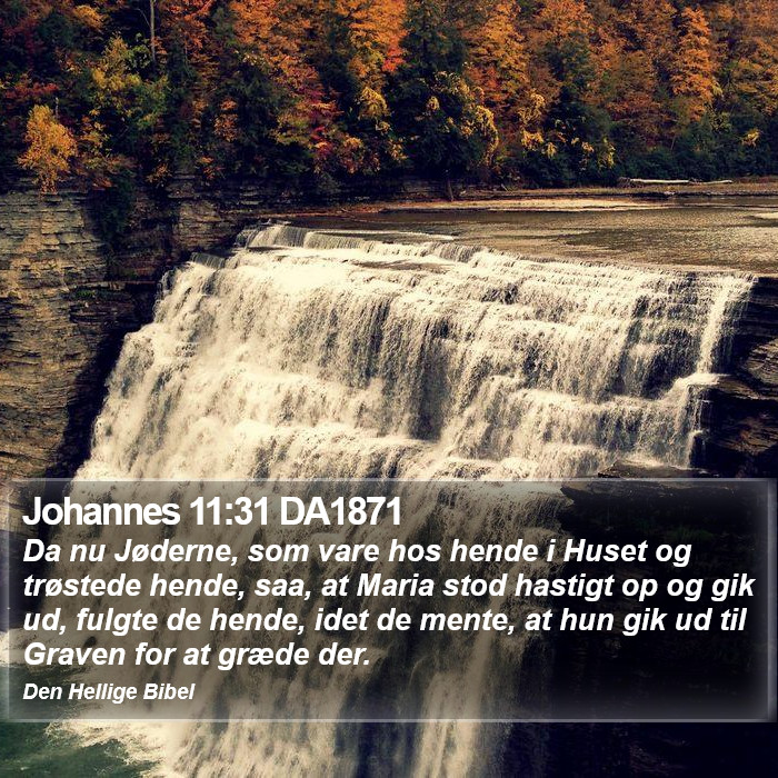 Johannes 11:31 DA1871 Bible Study
