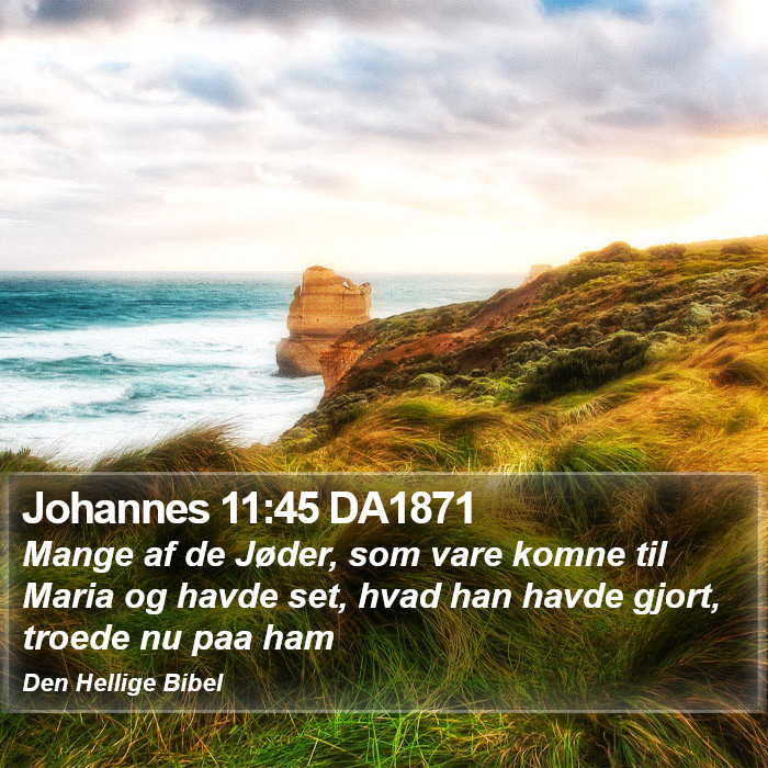 Johannes 11:45 DA1871 Bible Study