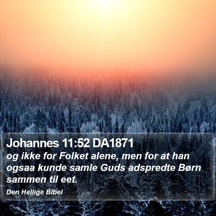 Johannes 11:52 DA1871 Bible Study