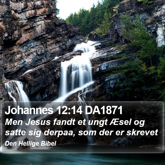 Johannes 12:14 DA1871 Bible Study