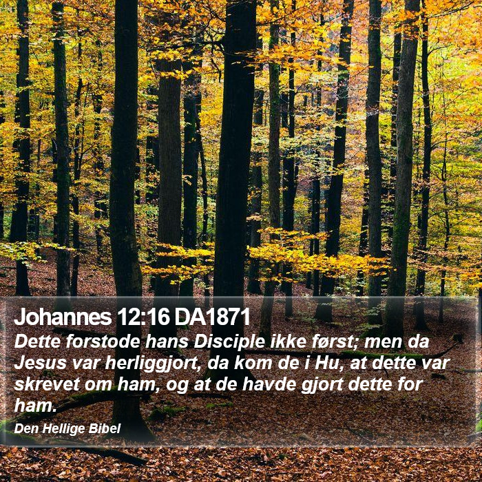 Johannes 12:16 DA1871 Bible Study