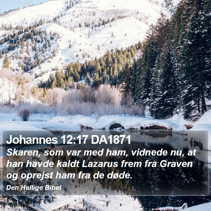 Johannes 12:17 DA1871 Bible Study