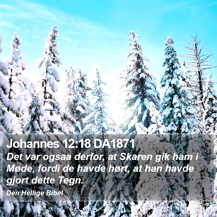 Johannes 12:18 DA1871 Bible Study