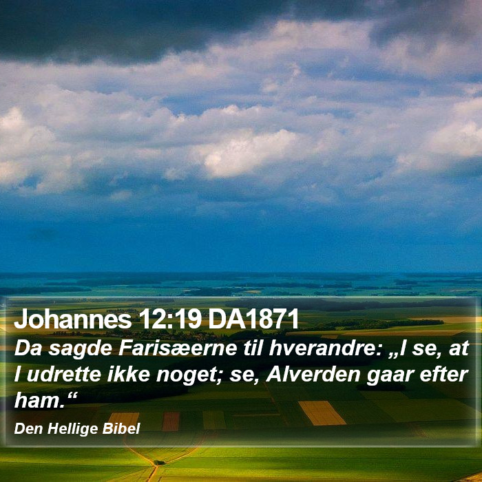 Johannes 12:19 DA1871 Bible Study
