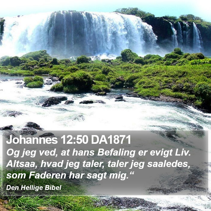 Johannes 12:50 DA1871 Bible Study