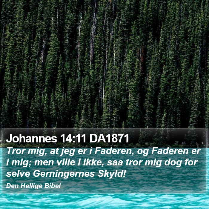 Johannes 14:11 DA1871 Bible Study