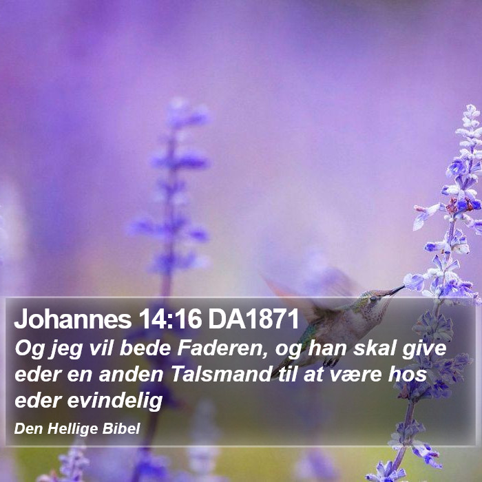 Johannes 14:16 DA1871 Bible Study