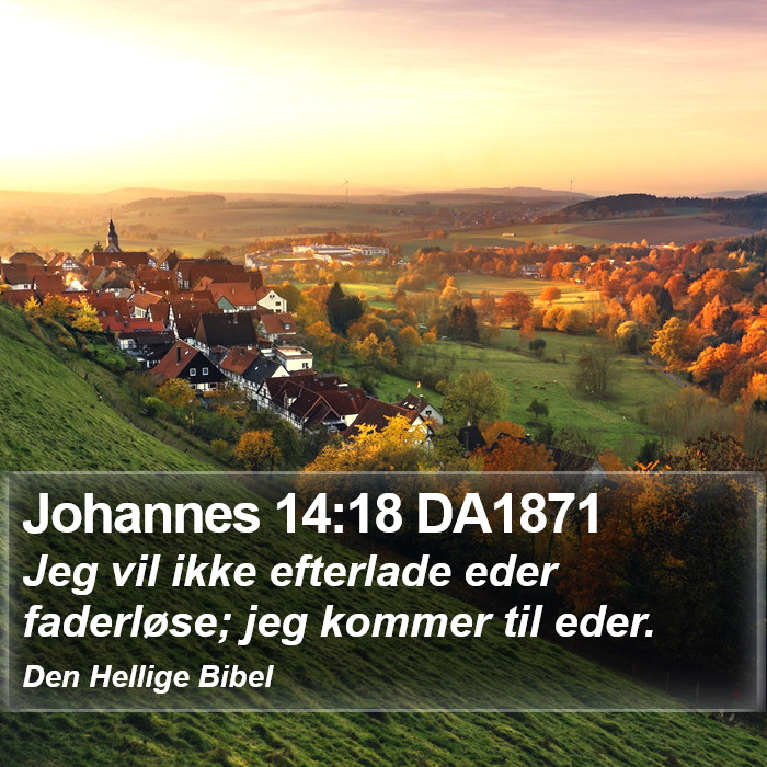 Johannes 14:18 DA1871 Bible Study