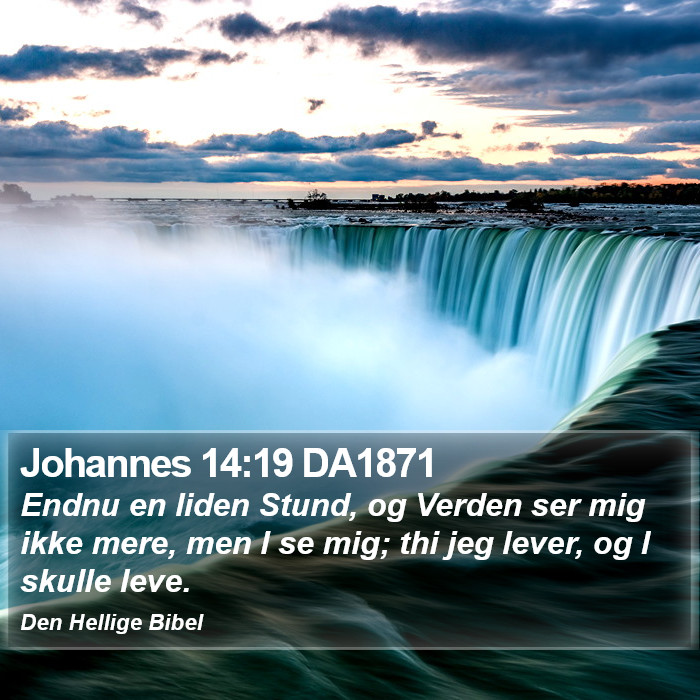 Johannes 14:19 DA1871 Bible Study