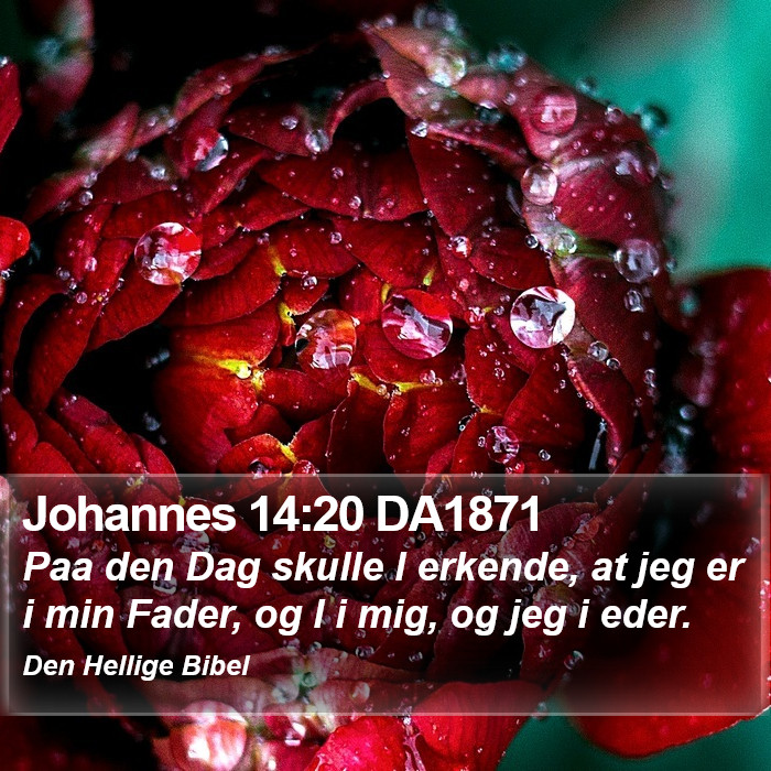 Johannes 14:20 DA1871 Bible Study