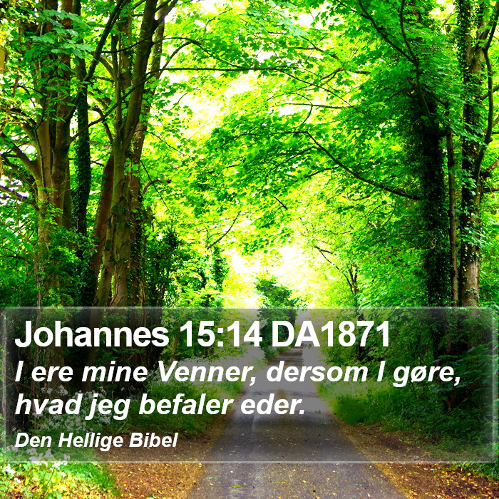 Johannes 15:14 DA1871 Bible Study