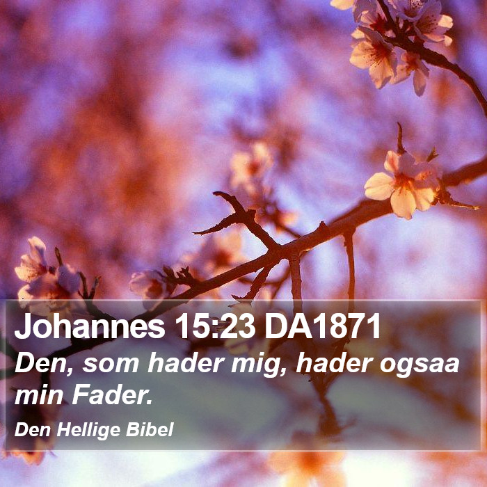 Johannes 15:23 DA1871 Bible Study