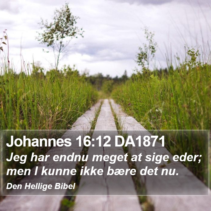 Johannes 16:12 DA1871 Bible Study