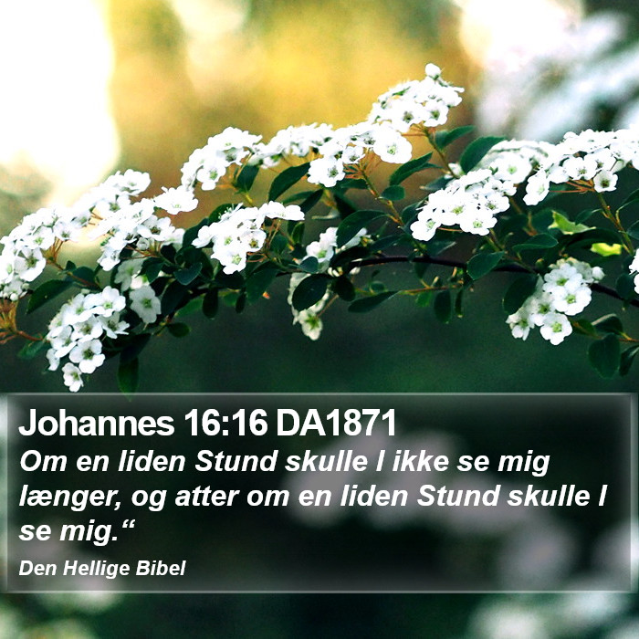 Johannes 16:16 DA1871 Bible Study