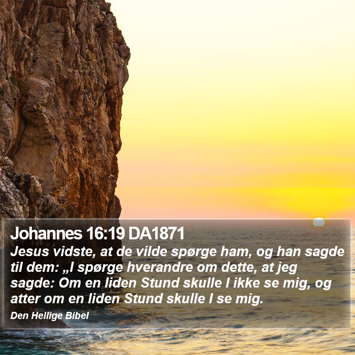 Johannes 16:19 DA1871 Bible Study