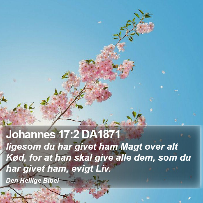 Johannes 17:2 DA1871 Bible Study
