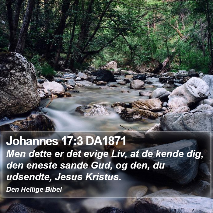 Johannes 17:3 DA1871 Bible Study