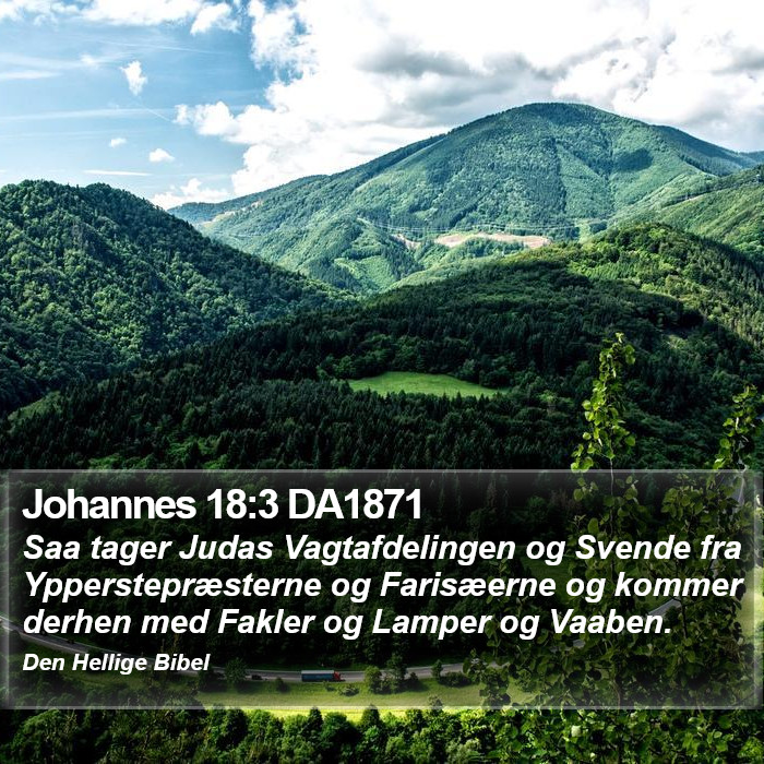 Johannes 18:3 DA1871 Bible Study