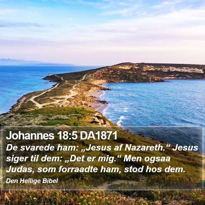 Johannes 18:5 DA1871 Bible Study