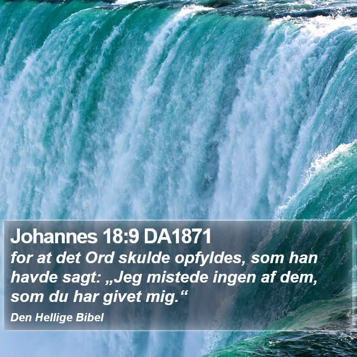 Johannes 18:9 DA1871 Bible Study