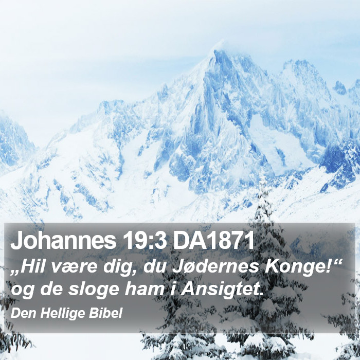 Johannes 19:3 DA1871 Bible Study