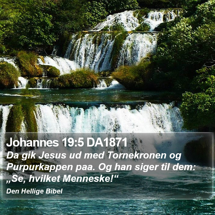 Johannes 19:5 DA1871 Bible Study