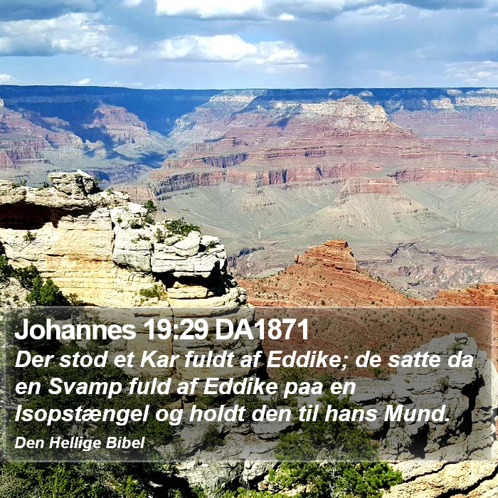 Johannes 19:29 DA1871 Bible Study