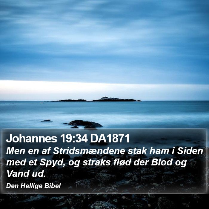 Johannes 19:34 DA1871 Bible Study