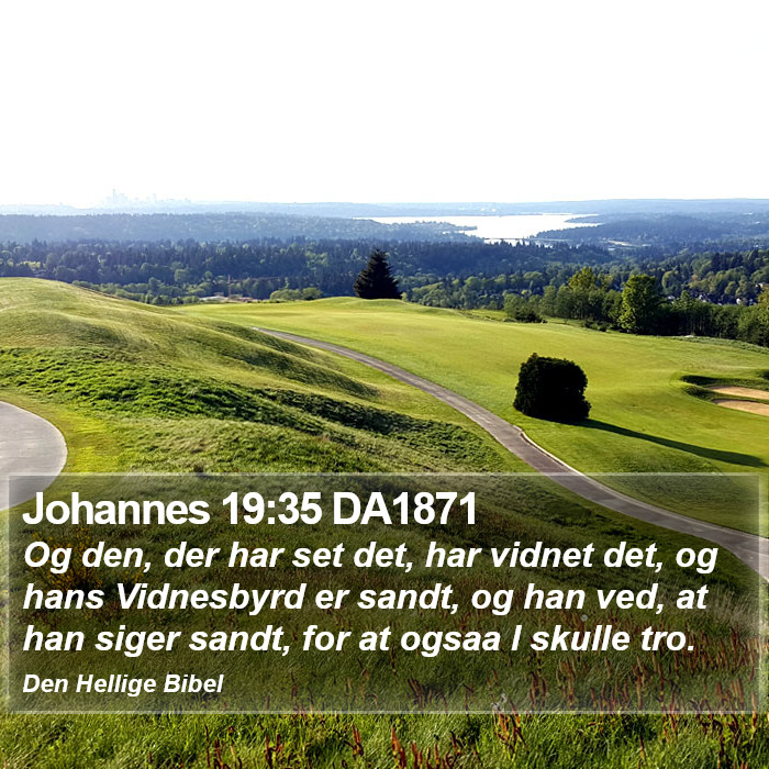 Johannes 19:35 DA1871 Bible Study