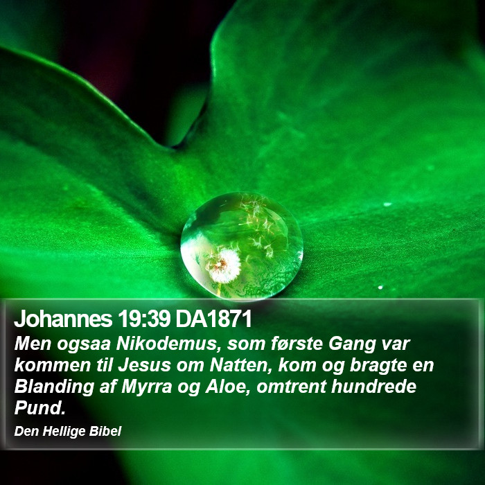 Johannes 19:39 DA1871 Bible Study
