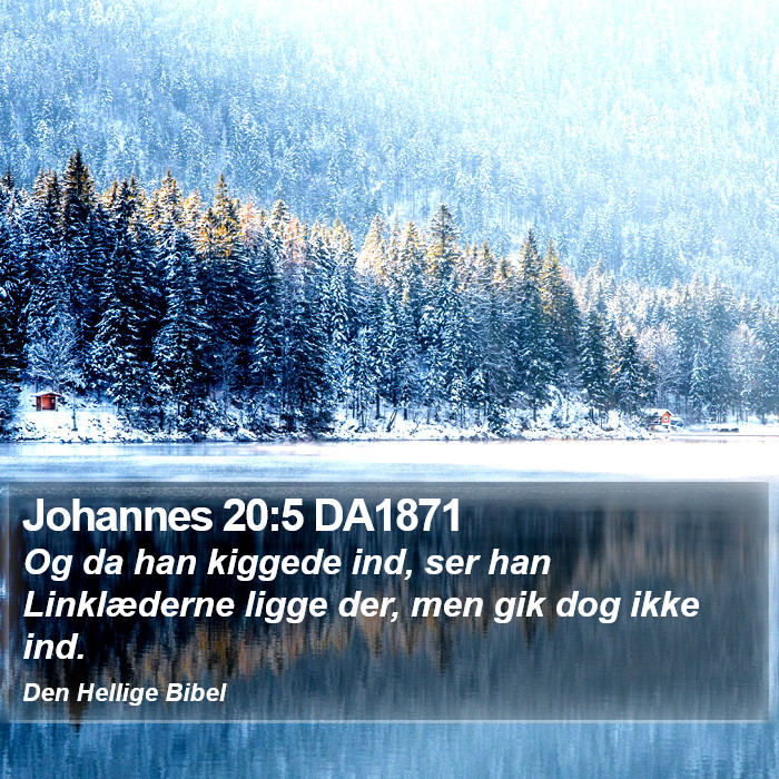 Johannes 20:5 DA1871 Bible Study