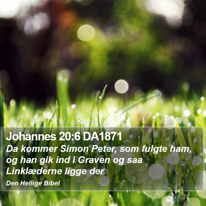 Johannes 20:6 DA1871 Bible Study