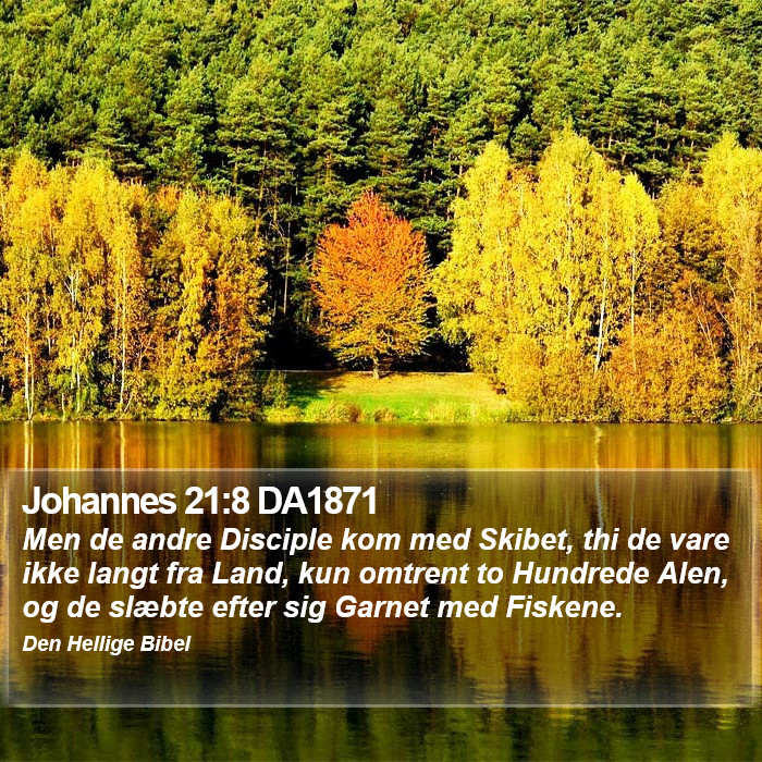 Johannes 21:8 DA1871 Bible Study