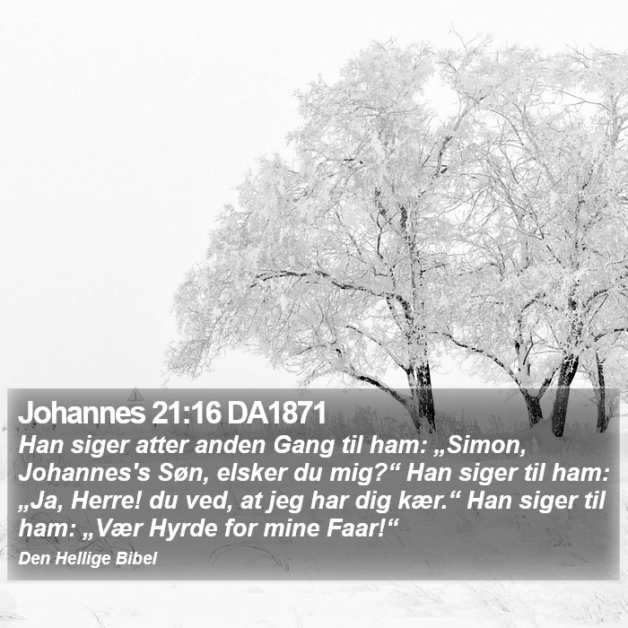 Johannes 21:16 DA1871 Bible Study