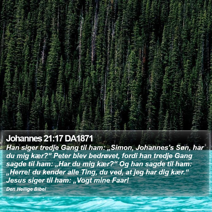 Johannes 21:17 DA1871 Bible Study