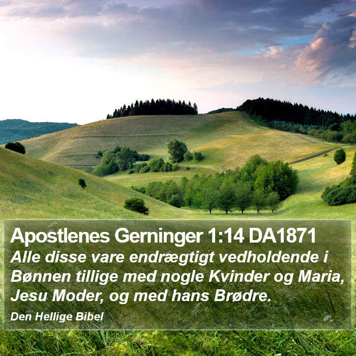 Apostlenes Gerninger 1:14 DA1871 Bible Study