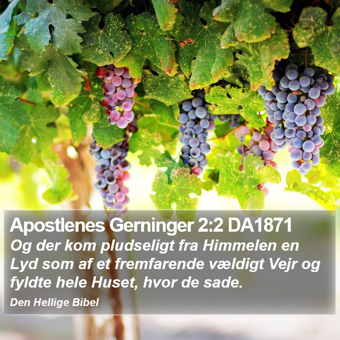 Apostlenes Gerninger 2:2 DA1871 Bible Study