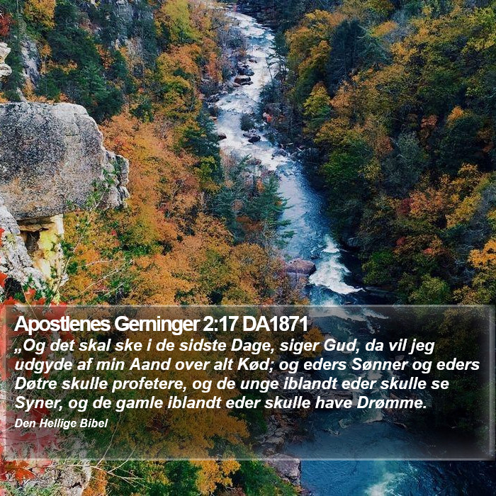 Apostlenes Gerninger 2:17 DA1871 Bible Study