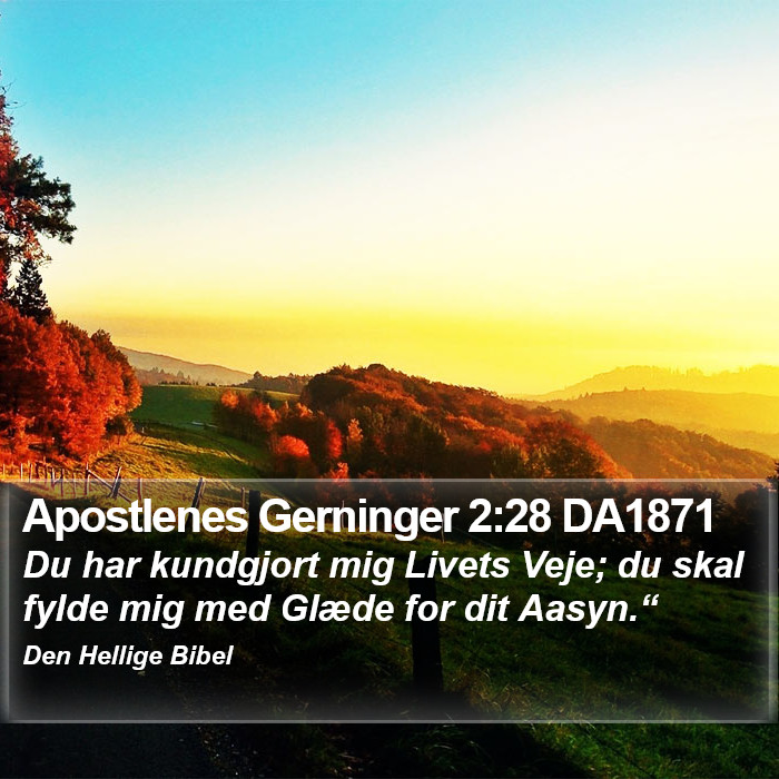 Apostlenes Gerninger 2:28 DA1871 Bible Study