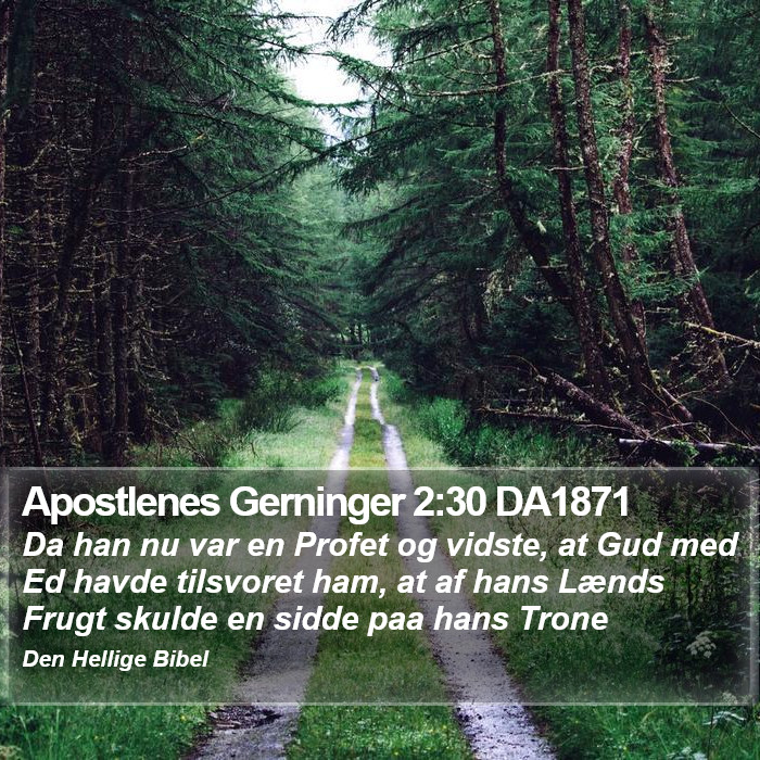 Apostlenes Gerninger 2:30 DA1871 Bible Study