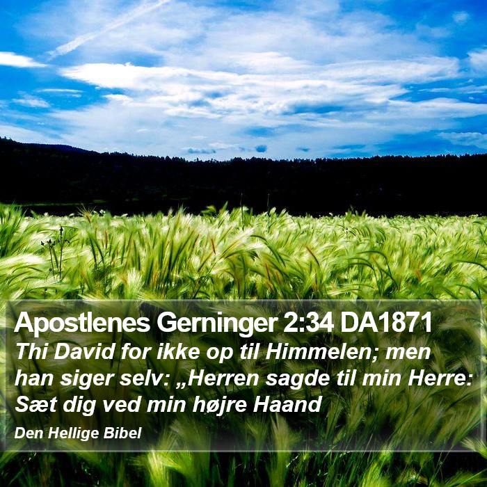 Apostlenes Gerninger 2:34 DA1871 Bible Study