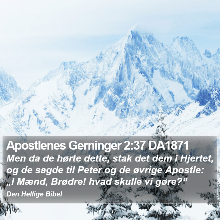 Apostlenes Gerninger 2:37 DA1871 Bible Study