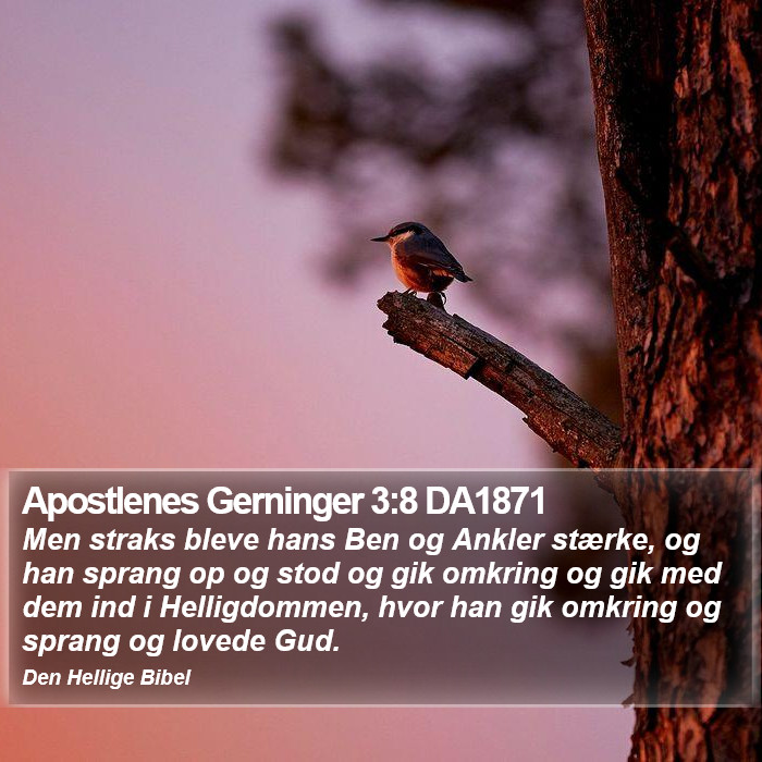 Apostlenes Gerninger 3:8 DA1871 Bible Study